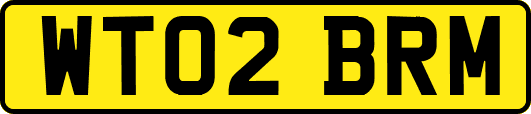 WT02BRM