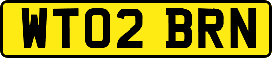WT02BRN