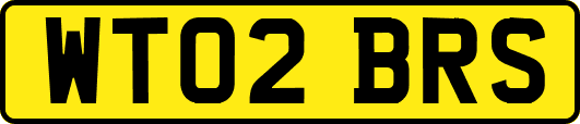 WT02BRS
