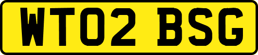 WT02BSG