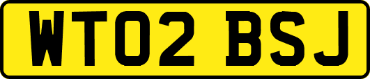 WT02BSJ
