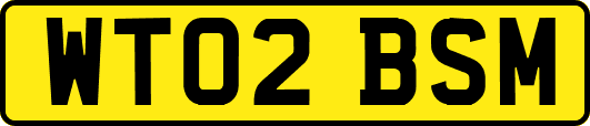 WT02BSM