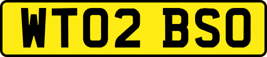 WT02BSO
