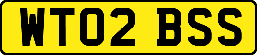 WT02BSS