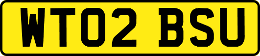 WT02BSU