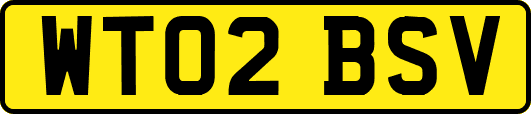 WT02BSV