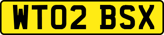 WT02BSX
