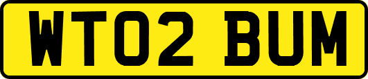 WT02BUM