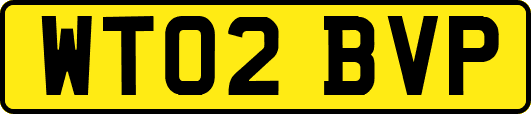 WT02BVP