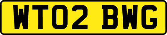 WT02BWG