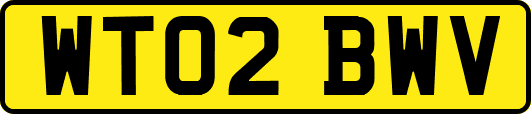 WT02BWV