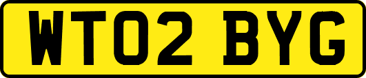 WT02BYG