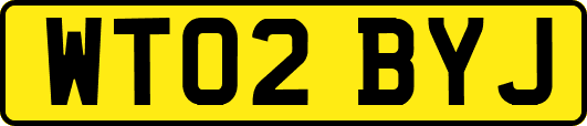 WT02BYJ