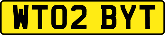 WT02BYT