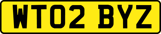 WT02BYZ