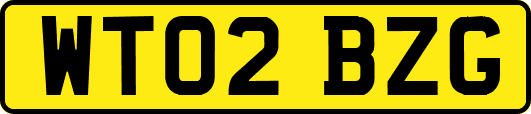 WT02BZG