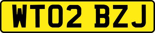 WT02BZJ