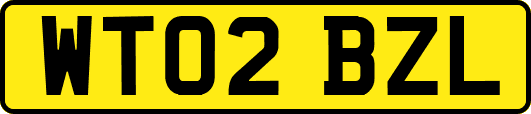 WT02BZL
