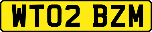 WT02BZM