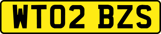 WT02BZS