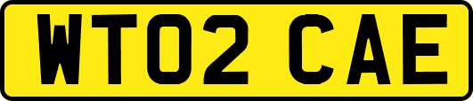 WT02CAE