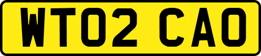 WT02CAO
