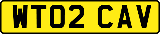 WT02CAV