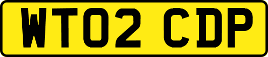 WT02CDP