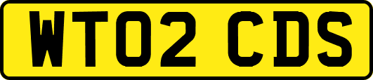 WT02CDS