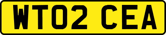 WT02CEA
