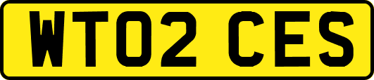 WT02CES