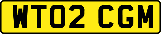 WT02CGM