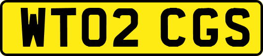 WT02CGS