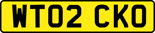 WT02CKO