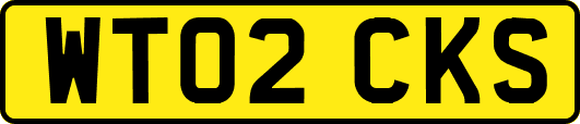 WT02CKS