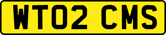 WT02CMS