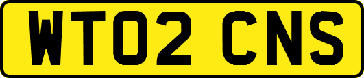 WT02CNS