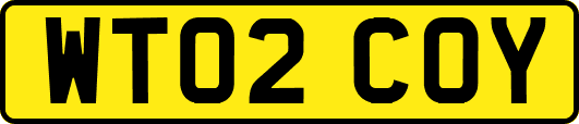 WT02COY