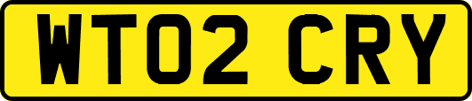 WT02CRY