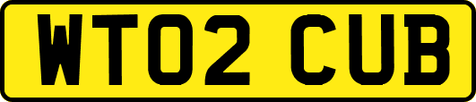 WT02CUB