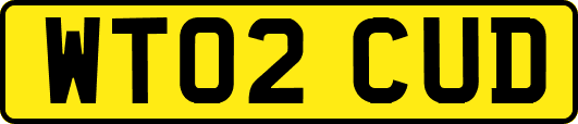 WT02CUD