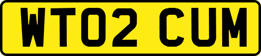 WT02CUM