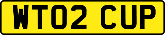 WT02CUP