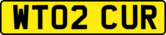 WT02CUR