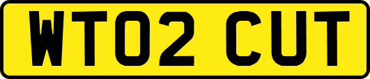 WT02CUT