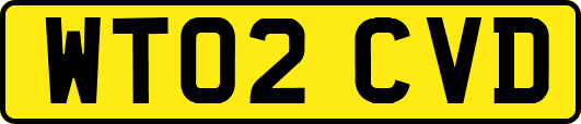 WT02CVD
