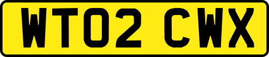 WT02CWX