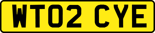 WT02CYE
