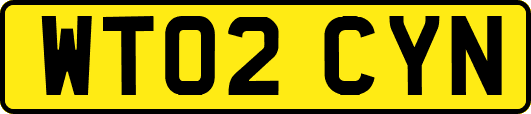 WT02CYN