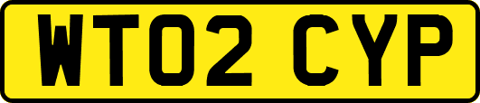 WT02CYP